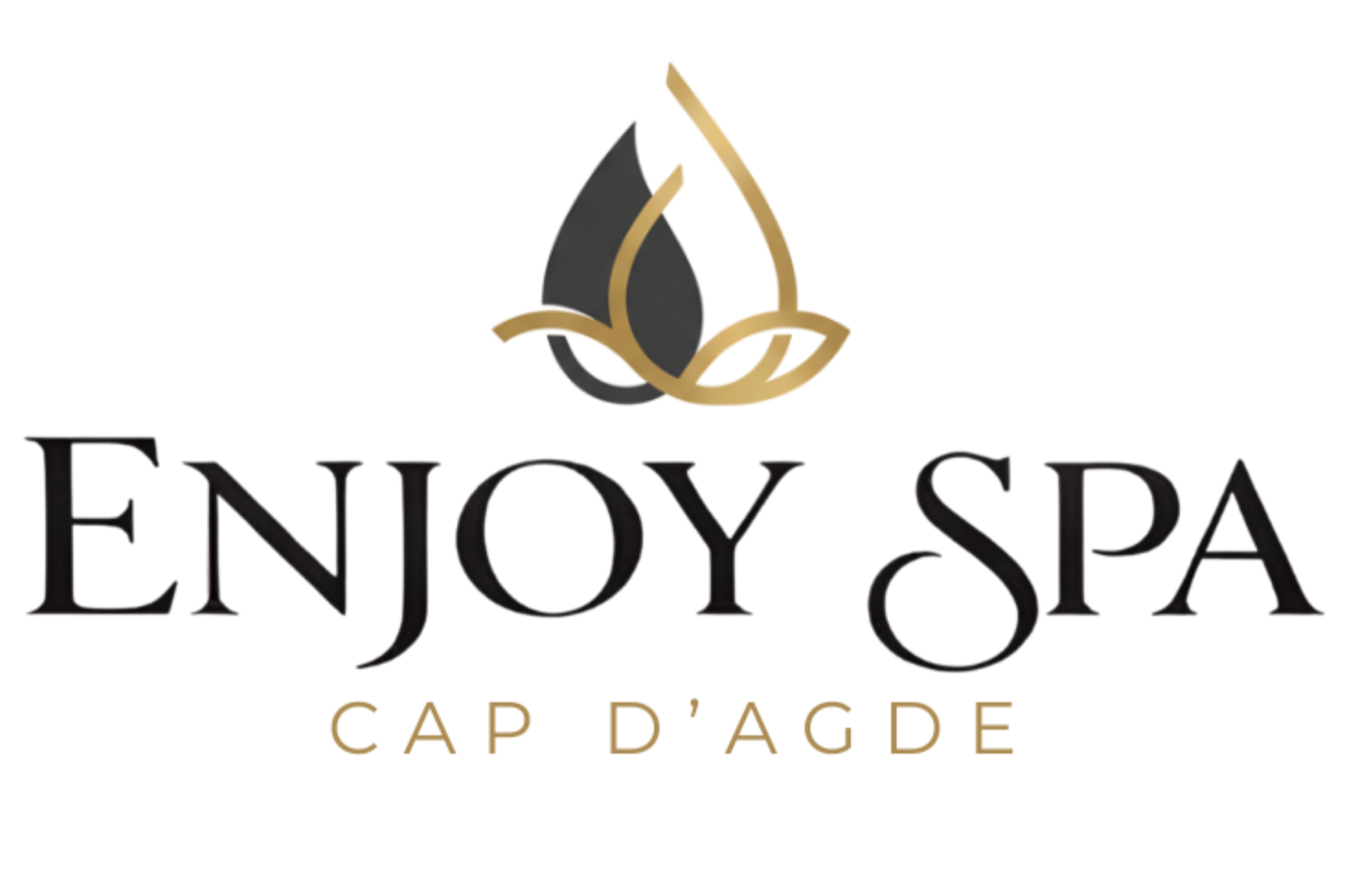 logo (4)